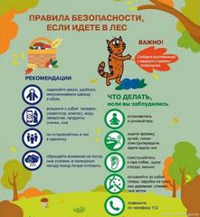Если заблудился в лесу! Совет от спасателей МЧС