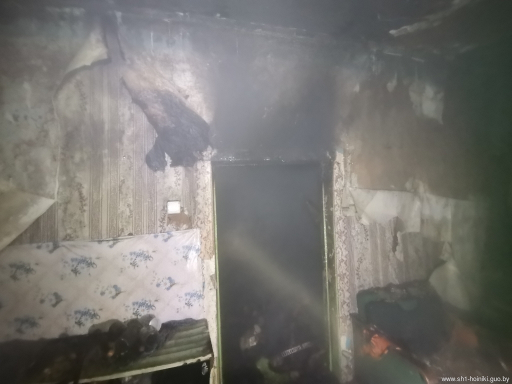 Пожар жилого дома в деревне Вить Пожар жилого дома в деревне Вить