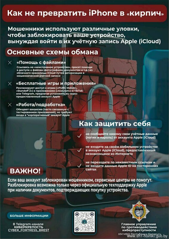Профилактика киберпреступности